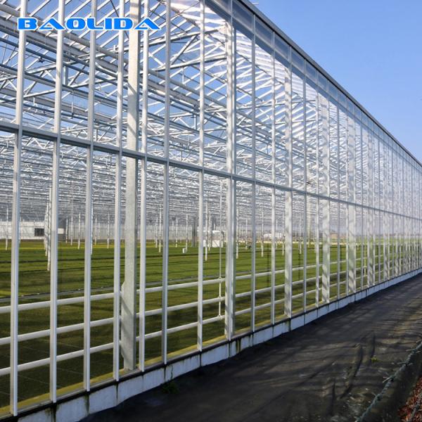 Buy Tunnel Venlo Glass Greenhouse Fully Automatic Climate Control at wholesale prices