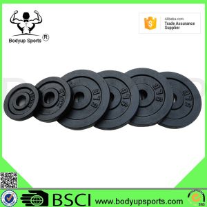 Adjustable Dumbbell Weight Plates , Black Paint Cast Iron Weight Plates
