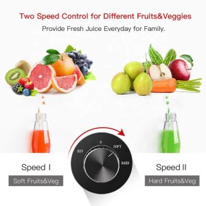 Slow Masticating Juicer Extractor Cold Press Juicer With Two Speed Modes 2