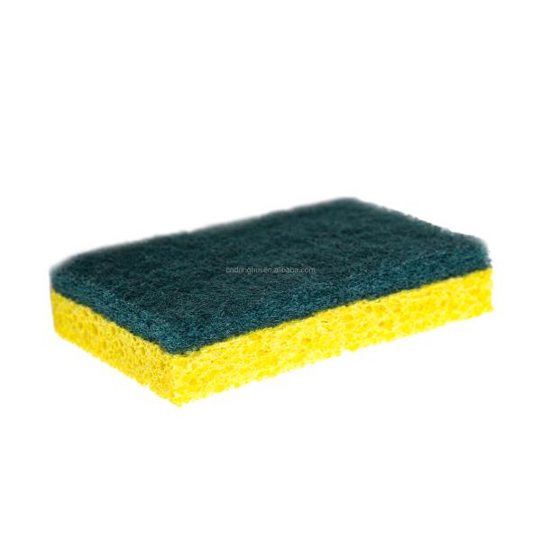 Sponge close-up