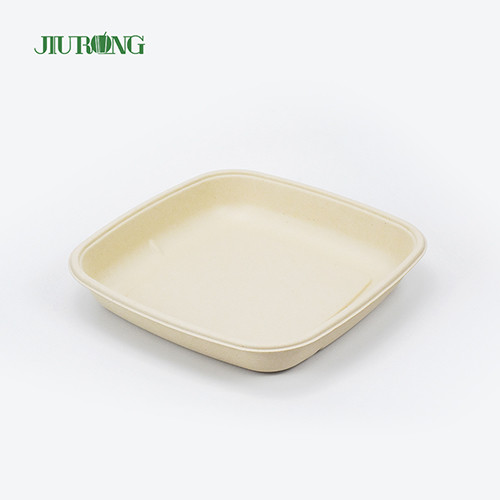 Buy Bagasse Takeaway Disposable Sugarcane Paper Plates Biodegradable at wholesale prices