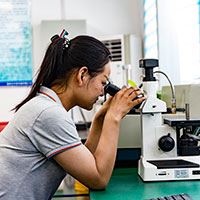 Machining Service Included Custom Steel Precision Forging Parts for Carbon/Alloy Steel