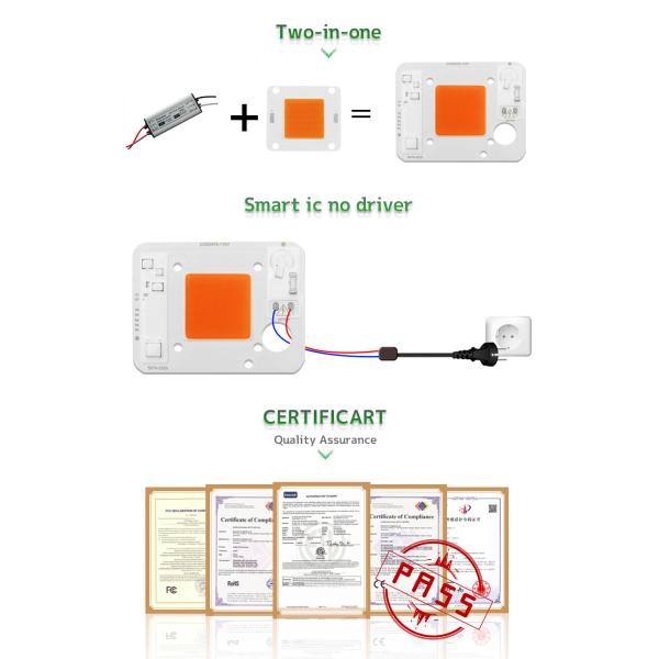 3000lm COB LED Module COB Chip 50Watt 6000K For Commercial Lighting Solutions