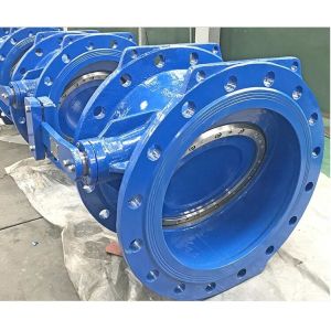 Ductile Iron BS5155 DN100 Tilting Disc Check Valve Epoxy Coating