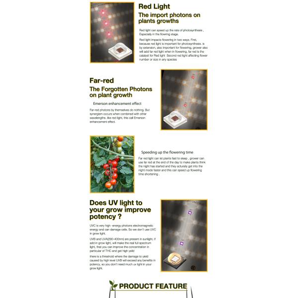 3000K 5000K LM301B Quantum Board 120W Samsung Indoor Garden Led Grow Lights