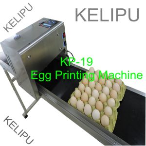 Quality The Whole Pallet Egg Printing Machine , Industrial Inkjet Printer For Eggs for sale
