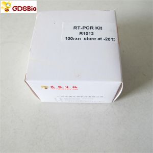 Quality RNA Reverse Transcriptase RT-PCR Reagents First Strand CDNA Synthesis Kit R1011 R1012 for sale