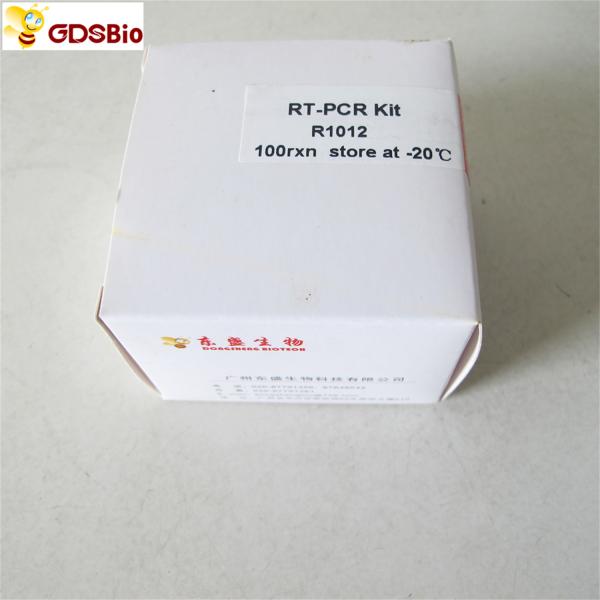 RNA Reverse Transcriptase RT-PCR Reagents First Strand CDNA Synthesis Kit R1011