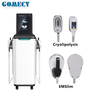 EMSlim HIEMT HIIT Aesthetic Equipment Muscle Building Cryolipolysis Body