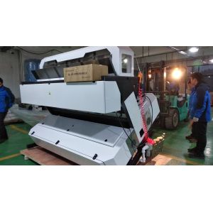 Quality Automatic Computing Garlic Grading Machine 5 Chutes 12 inch Humanized display for sale