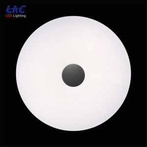 LED ceiling light(Jade400-1000)