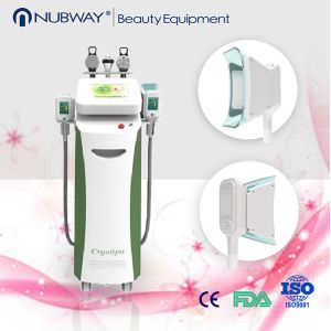 body slimming cryo therapy cryolipolysis cellulite lipolysis fat freezing machine