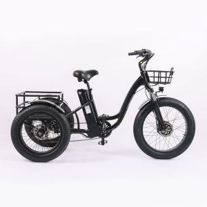 Wholesaler Adults 750w/500W 3 Wheel Electric Cargo Tricycle with Aluminium Alloy