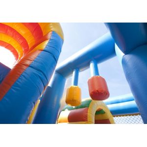 Famous Blue Dolphin Party Castle Bounce House Durable PVC Material