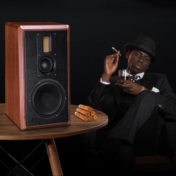 Vofull KH-510 Wireless Bookshelf Speakers with 8 Inch Woofer and Tube Amplifier