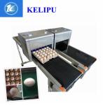 Digital Egg Jet Coding Machine Maintenance - Free With Pink / Green Food Grade