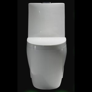 Quality 26&quot; One Piece Skirted Dual Flush Toilet Flush Valve Ceramic Tall Toilet Bowls for sale
