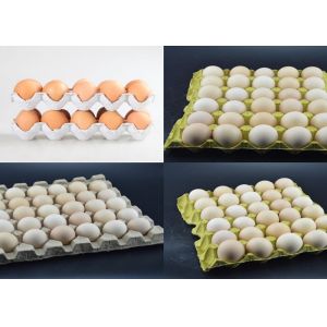 Rotary Pulp Molding Paper Egg Tray Box Making Machine