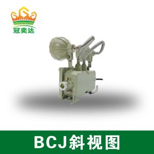 Aluminum Alloy Atex 2X3W Explosion Proof Emergency Light