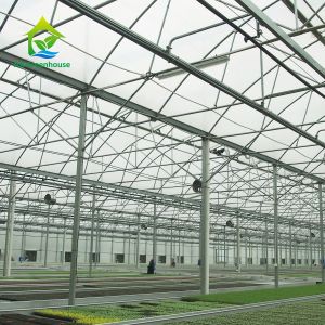 Vertical Farming Clear Polycarbonate Greenhouse 3m To 7m Height