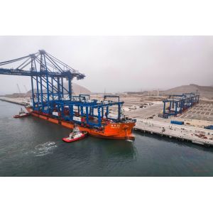 Fatest Safe Sea Freight Services International Ocean Shipping Full Container