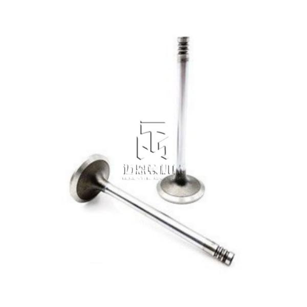 Intake Valve 20791517 04283376 04254284 04254934 4283376 4254284 4254934 0428