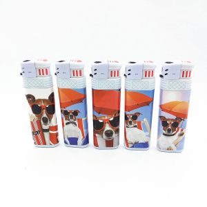 Modern Custom Windproof Gas Lighter Customization for Your Satisfaction