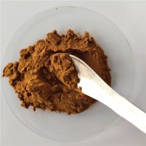 Quality Spica Prunellae Extract For eyesight capsule for sale