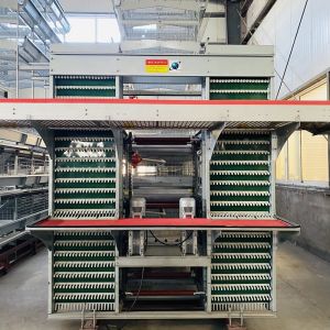 Automatic Egg Layer Chicken Battery Cage 3 Tiers 4 Tiers H Type Poultry Feeding