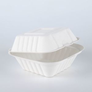 Disposable Biodegradable Bagasse fast food takeaway dinnerware container