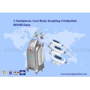 China Vacuum Cryolipolysis / Cool Body Sculpting Membrane / Criolipolisis Cellulite Reduction Machine on sale