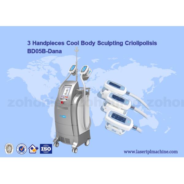Buy Vacuum Cryolipolysis / Cool Body Sculpting Membrane / Criolipolisis Cellulite Reduction Machine at wholesale prices