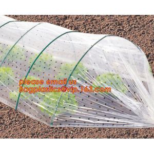 Transparent Low Tunnel Film Perforated For Culture Of Seedling Maturing