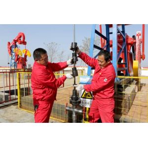 CNPC BOMCO pumping unit sucker rod sealing BOP