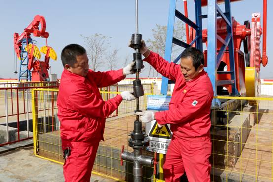 Buy CNPC BOMCO pumping unit sucker rod sealing BOP at wholesale prices