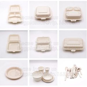 100% Biodegradable and compostable sugarcane pulp packaging disposable paper