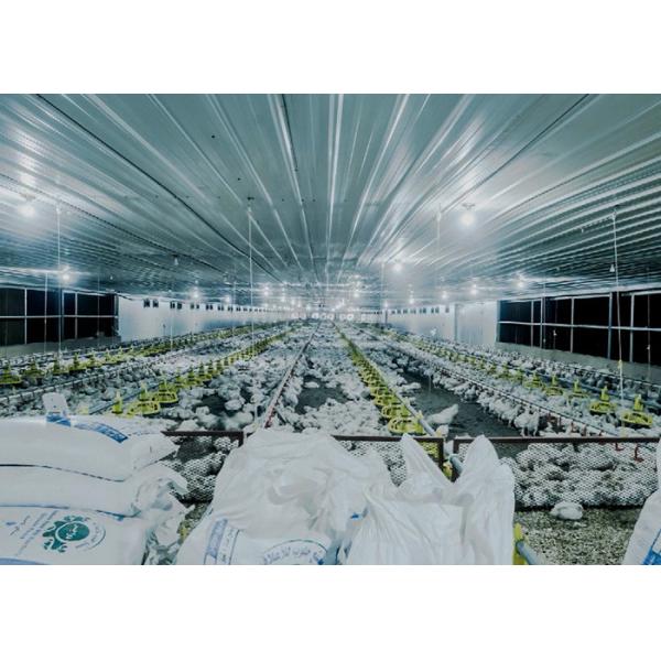 Broiler Flooring Raising Chicken Farm Equipment 4 Drinker /M