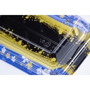 Professional Manufacturer Recyclable Plastic Food Packaging Sushi Trays for Food