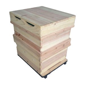 Multi Sweet Non Toxic Two Levels Fir Bee House Box