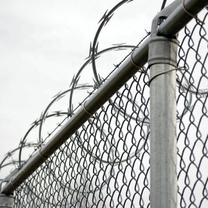 Low Price Concertina Hot Dipped Galvanized Razor Barbed Wire