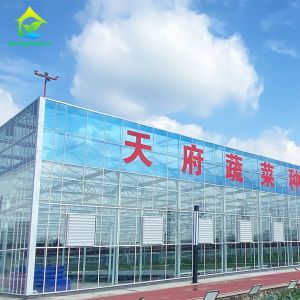 Customized Greenhouse Cover Materials Double Layer Tempered Insulating Glass