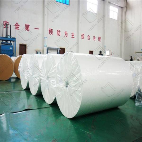 200gsm-350gsm Smooth C1S Ivory Board Rolls For Exceptional Printing Luxury