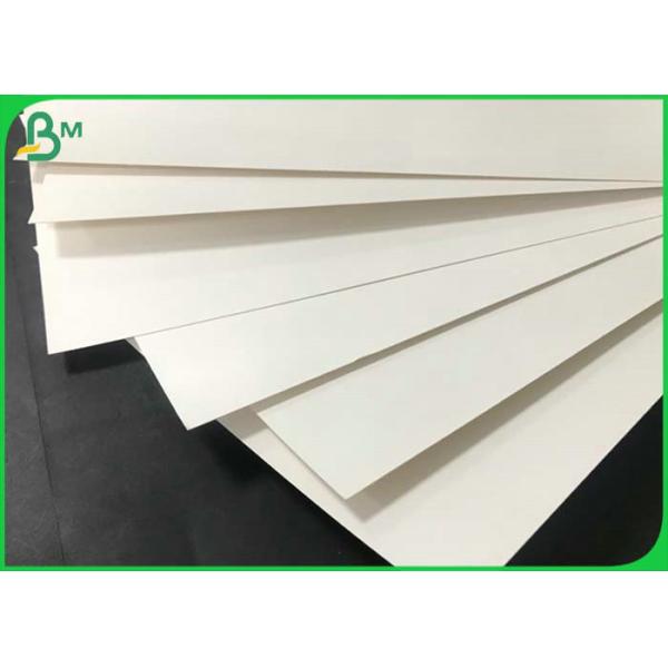 Food Grade Matte PLA & PE Coated white kraft Cup Paper for biodegradable paper cup