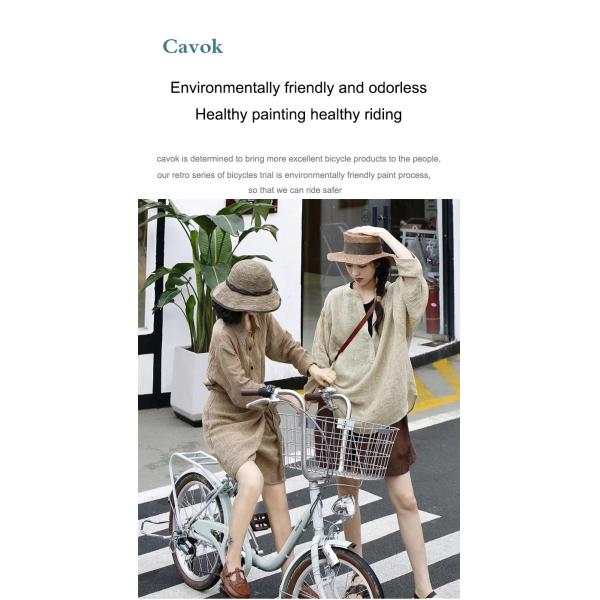 Customized OEM 6 Speed 20 Inch City Bike With Caliper Brake