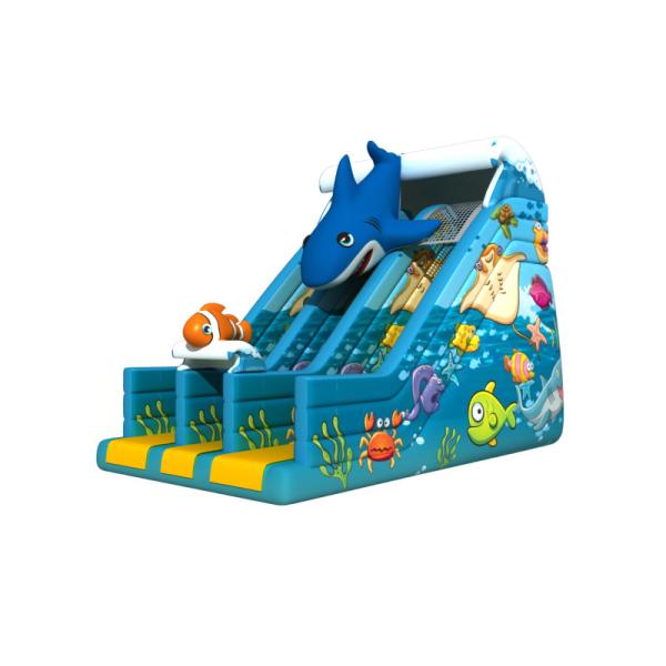 Buy Dark Blue Undersea World Lovely Dolphin Inflatable Dry Slide , 3 Years Guarantee at wholesale prices