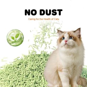 Quality Tofu Low Dust Clumping Cat Litter ODM 100 Percent Dust Free Cat Litter for sale
