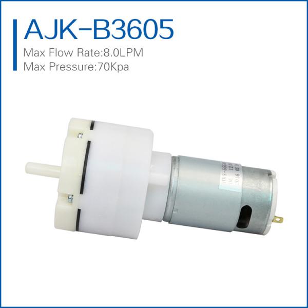 high flow miniature vacuum pump