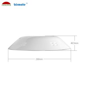Warm White 12V SS316L 1200LM 25W Led Concrete Pool Light