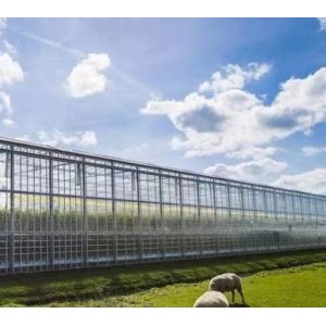 Seeding/Vegetables/Fruit/Flower Controlled Environment Hydroponic Seedling