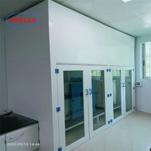 Integrated Structure Laboratory Fume Cupboard Alkali Resistant